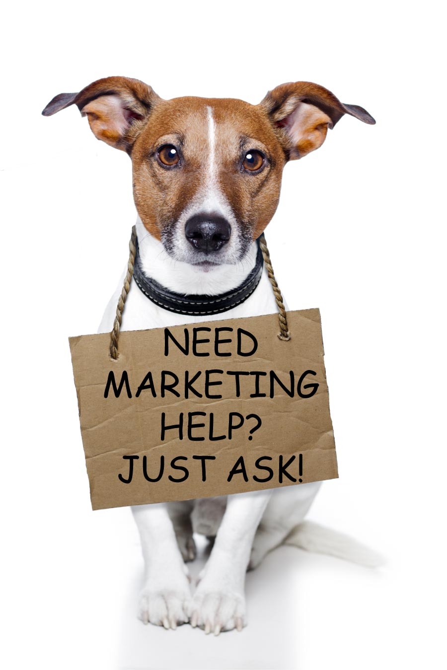 Need amrketing Help? Just ask